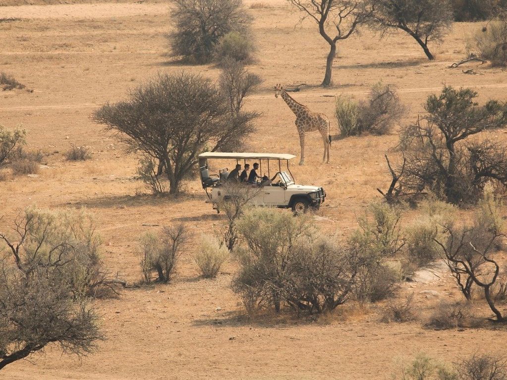 Safari Kruger NP